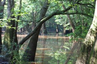 Montgomery Lake