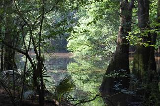 Montgomery Lake