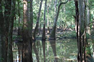 Montgomery Lake