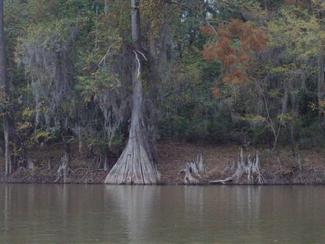 Ocmulgee River
